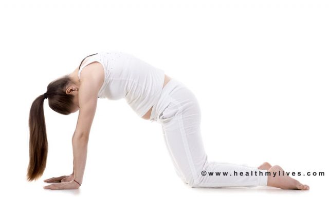postura de yoga gato vaca para backpain