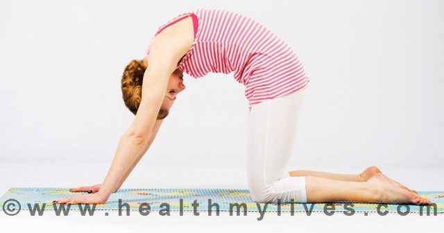 Cow cat yoga posture
