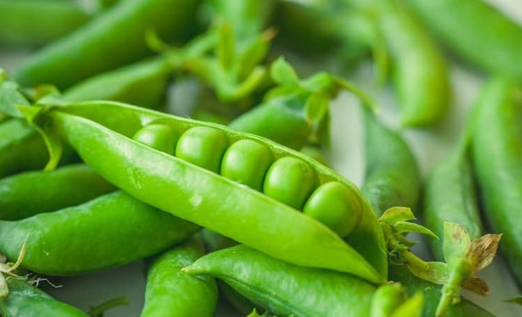 Alimentos con un índice glucémico bajo