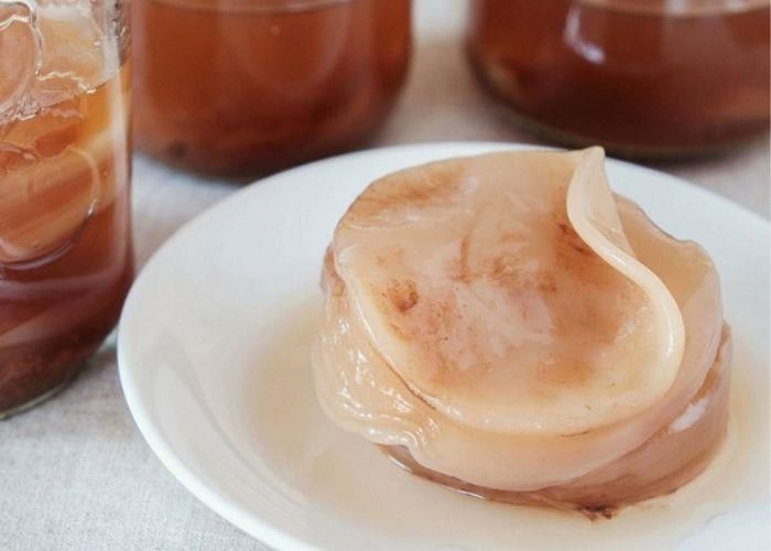 Kombucha